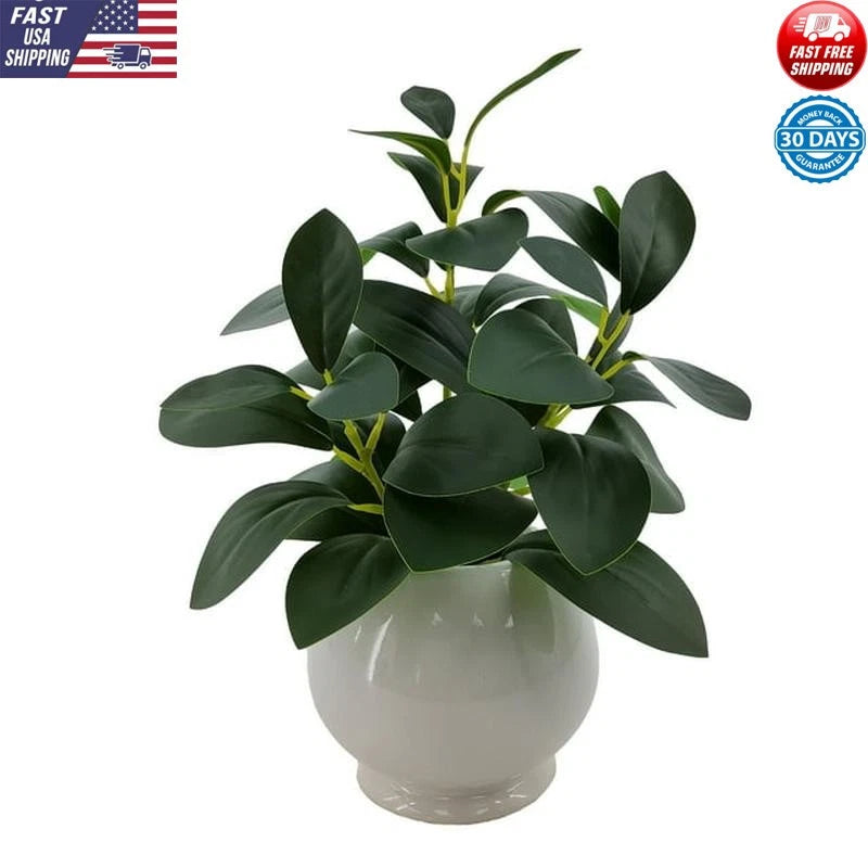 Artificial peperomia plant in white ceramic pot with glossy green leaves