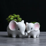 White Ceramic Succulent Planter Pots Home Garden Decor Cute Elephant Flower Pot Garden Plants