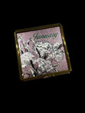 Vintage NIB January Keepsake Trinket Box by Enesco Carnation Earrings Carnation