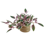 Mainstays Artificial Zebrina Plant, Pink/Green, 9.5" with Vase Green Plant