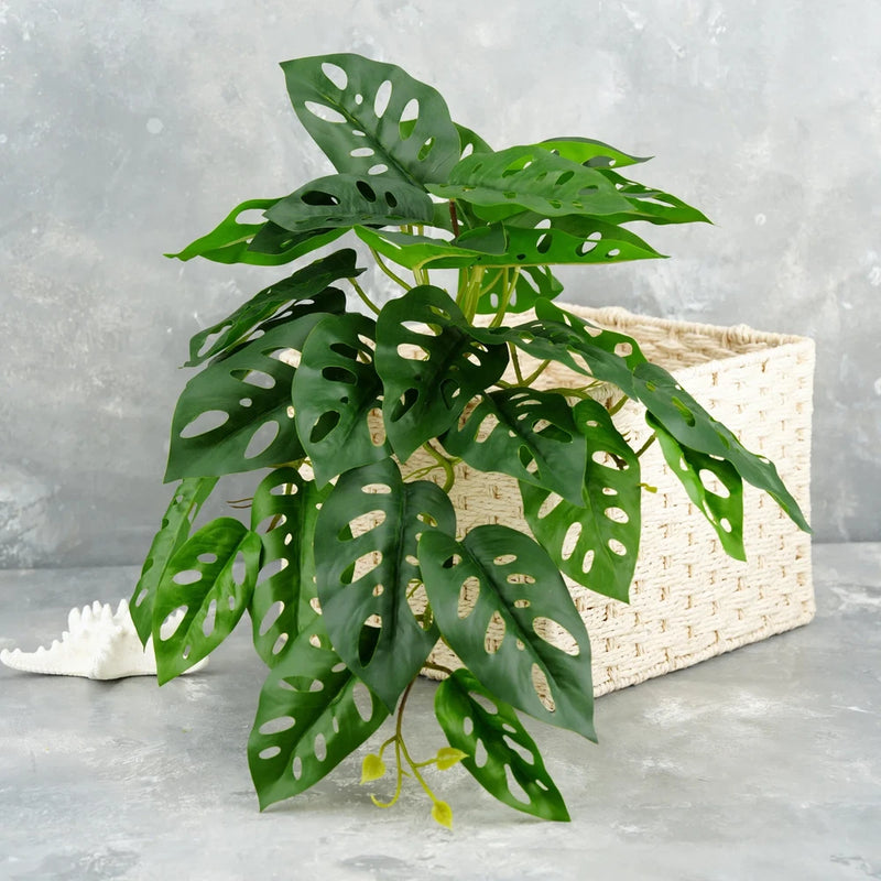 Artificial monstera adansonii plant with green cutout leaves in woven rectangular planter