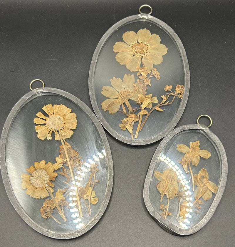 Set of 3 oval dried flower suncatchers with pewter frames and hanging loops