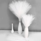 White Pampas Grass Decor Fluffy, Faux Pampass White Small Fake Pampas 30"-5 P... Pampas Grass