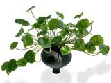 3pcs Small Fake Lotus Plants with Roofs and Leaves, Faux Greenery Stems for V... Green Plant