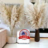 40" pulgadas 20 tallos Pampas Grass Decoraci—n Alto, Plantas secas Decoraci—n US Pampas Grass