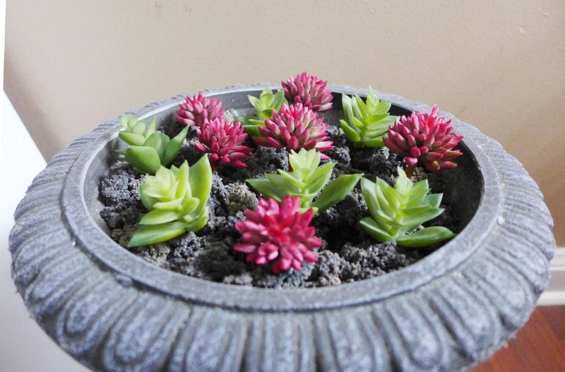 Artificial succulent miniature plants in gray stone bowl, green and pink rosette leaves