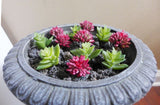 12 Pcs Artificial Grass Miniature Succulents Red Green Lotus Stone (M25) Green Plant