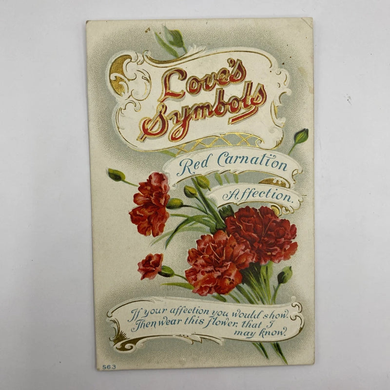 Vintage red carnation greeting card with Lov'd Symbols and affection quote