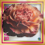 Pillow, flower design, S-XL, in "Pink carnation" by fine artist CALLIE E. AUSTIN Carnation