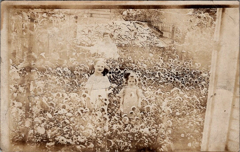 FLOWERS, Girls in a SUNFLOWER PATCH Real Photo Postcard Sunflower