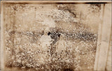 FLOWERS, Girls in a SUNFLOWER PATCH Real Photo Postcard Sunflower