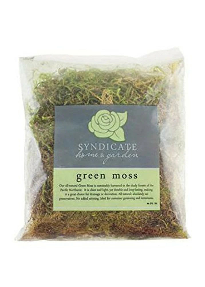 Syndicate Green Moss, Quart Bag 9670-12-00 1 Green Plant