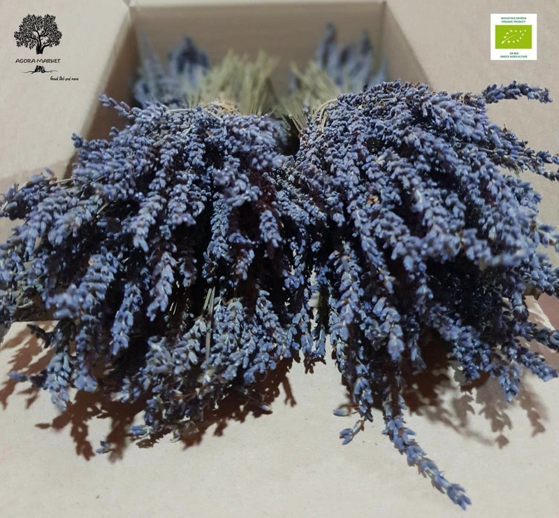 Dried lavender bunches, blue-purple flower spikes on stems