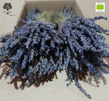 Certified Organic Greek Dried Lavender 2 Bunches 30-32cm | 2025 Dried Flower