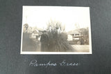 VINTAGE PHOTOGRAPH 1920's California Woman Pampas Grass Street Scene & Car Pampas Grass