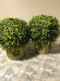 2 set of realistic ARubs for garden YQ flowers with vens for Garden Decor Green Plant