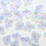 Edible Pre-Cut Wafer Butterfly  - Hydrangea Flowers Hydrangea