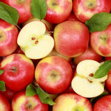 25+ Red Delicious Apple Seeds for Garden Planting - USA - FREE SHIPPING! Garden Plants