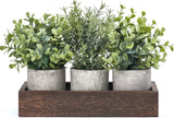 Mini Potted Artificial Eucalyptus Plants With Wood Tray Home Decor Green Plant