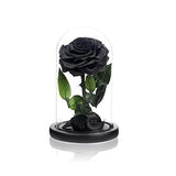 Handmade Preserved Roses in Glass Dome Long Lasting Black Roses Real Eternal Gla Roses