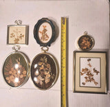 Vtg Pressed Flower Wall Art 6 Botanical Dried Floral Framed Cottagecore Decor Dried Flower