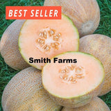 10+ Seeds Ambrosia Cantaloupe Melon Easy Grow Vegetable Garden Planting Edible Garden Plants