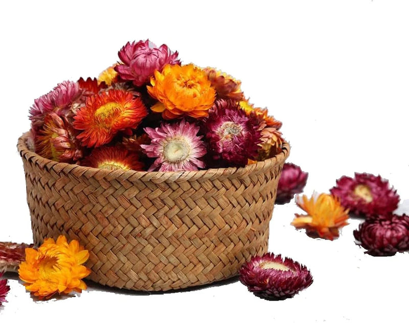 Natural Dried Daisy Flowers Heads - 55~60 Pcs Gerbera Daisies Real Sunflowers Ch Dried Flower