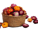 Natural Dried Daisy Flowers Heads - 55~60 Pcs Gerbera Daisies Real Sunflowers Ch Dried Flower