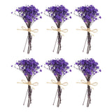 6 Pcs Mini Dried Flower Bouquet Baby's Breath Boho DIY Gift Blue Purple Dried Flower