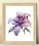 Floral Art Print, Purple Lily Print, Botanical Nature Wall Art Decor #577 Lily