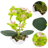 Artificial Orchid Potted Plant Cymbidium Flowers Indoor Decorative Green Plant