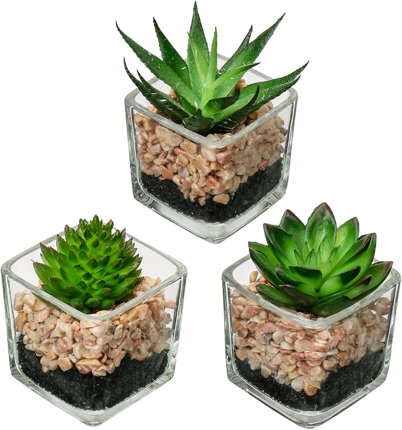 Set of 3 Succulents Plants Artificial in Glass Pots Small Fake Succulents Plants Green Plant