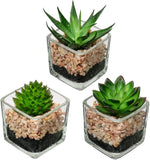 Set of 3 Succulents Plants Artificial in Glass Pots Small Fake Succulents Plants Green Plant