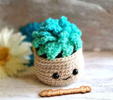 Crochet Rainbow Succulent Plant Home Decor, Faux Cacti, No Water Plant, Cactus Green Plant