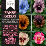 150+ Pansy Seeds (Viola) - Fragrant, Flower Seeds, Annual Seeds, Garden Seeds Garden Plants