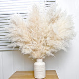 10 PCS Beige Pampas Grass Decor Naturally Dried Pompas Bunny Tails Dried Flow... Pampas Grass