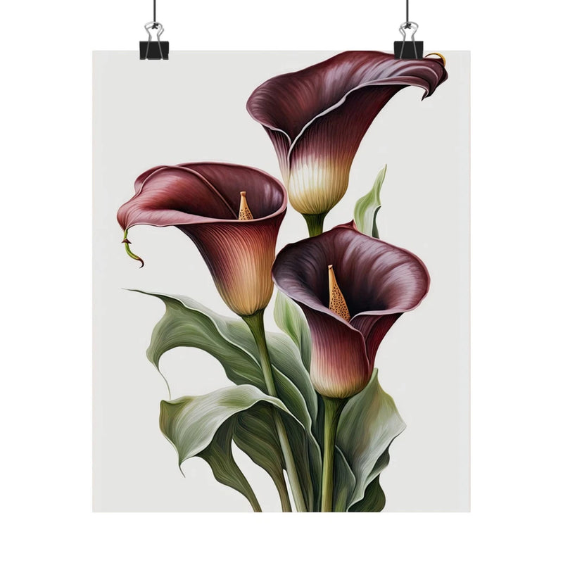 Maroon Calla Lily Flowers Poster, Flower Art Print, Floral Artwork 07 Lily