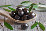 10+ Mission (Black) Olive Seeds for Garden Planting - USA - FAST SHIPPING! Garden Plants