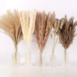 N&T NETING 75Pcs Pampas Grass Decor-10Pcs White Pampas Grass, 20Pcs Brown Pampas Grass