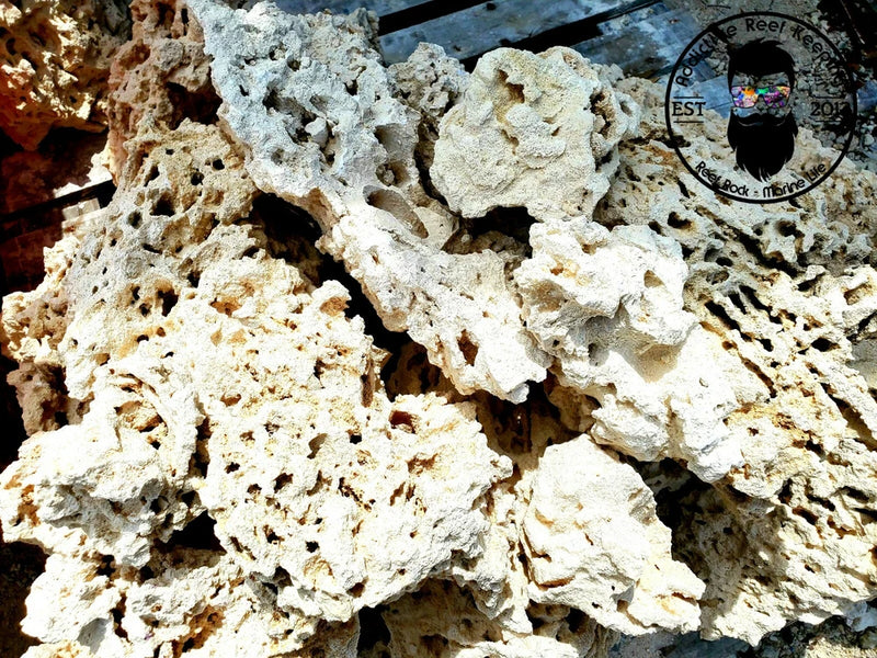 Premium ARK Dry Reef Rock Aragonite Base, Porous Aquariums Live Anemone