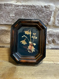 Vintage Framed Pressed Dried Flowers 3.6Óx5Ó Wall Art Wood Frame Dried Flower