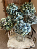 7 Dried Hydrangea Flower Heads 4-7