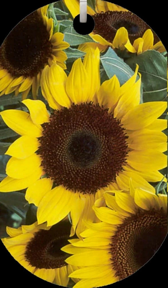 Sunflowers Yellow Floral Stylish Dog Tag Necklace or Keychain FREE 30" Chain NEW Sunflower