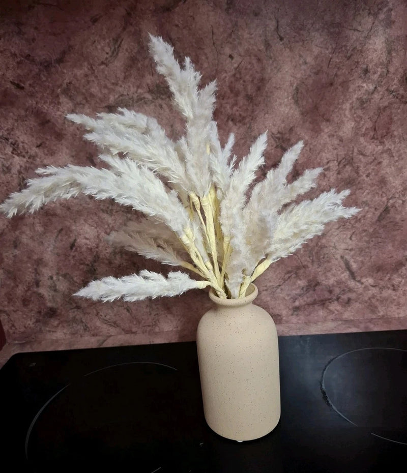 Artificial Pampas Grass In Beige Ceramic Vase Pot $4 EXPRESS Home House Decor Pampas Grass