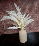 Artificial Pampas Grass In Beige Ceramic Vase Pot $4 EXPRESS Home House Decor Pampas Grass