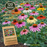 120 Mixed Color Coneflower Seeds Echinacea Heirloom Garden Easy Grow Garden Plants