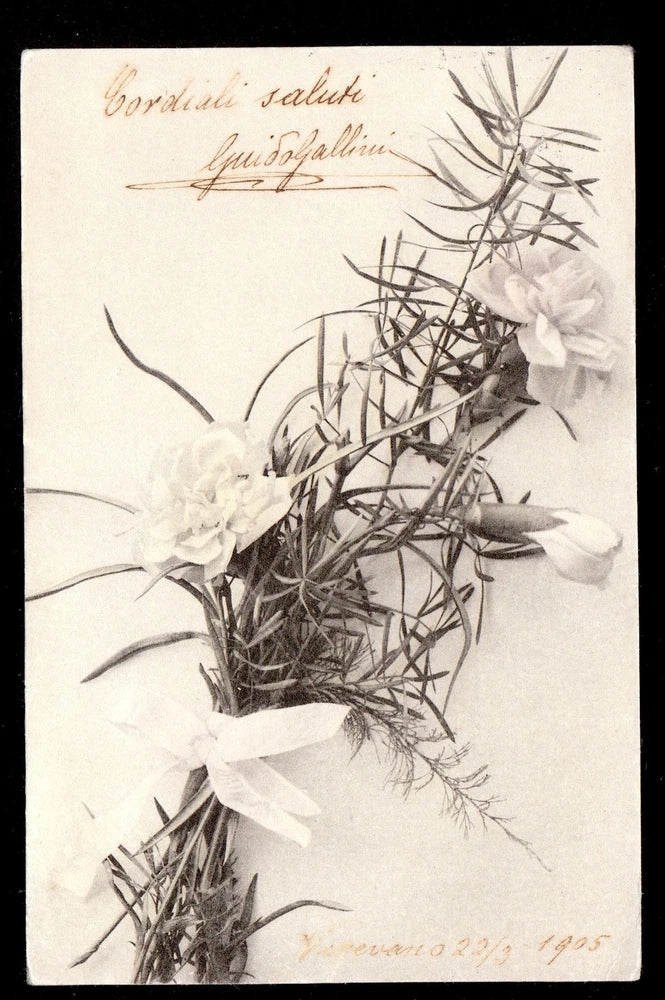 Vintage greeting postcard with white carnation flowers and cursive message