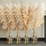 40 inch 20 Stems Natural Pampas Grass Decor Tall, Pompas Grass, Tall Pampas Pampas Grass