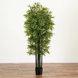 51" Bamboo Green Tree UV Resistant (Indoor/Outdoor) Home Decor. Retail $159 Green Plant