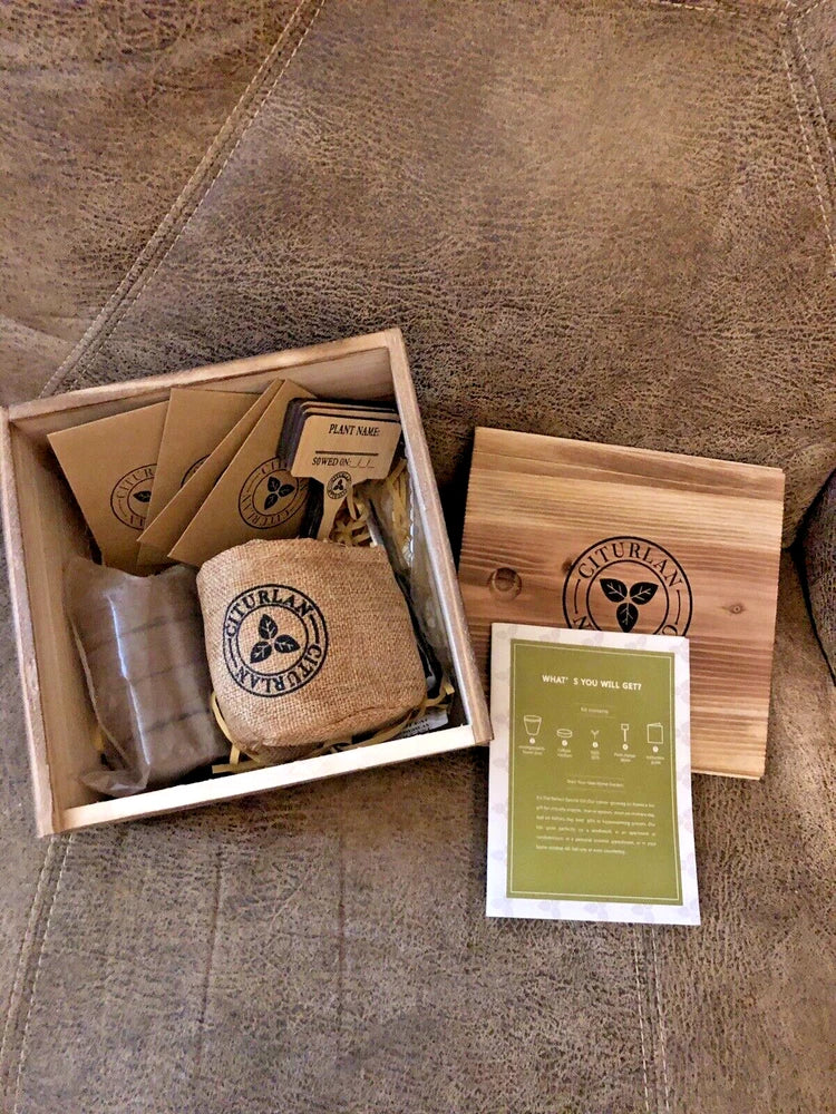 Garden Republic Bonsai Tree Seed Starter Kit Flower Pots Plant Markers Gift Garden Plants